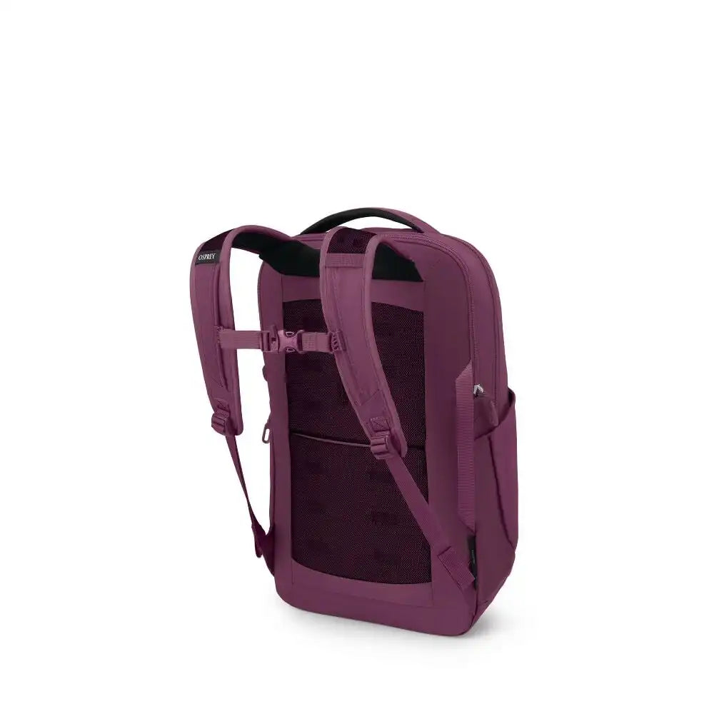Ozone Laptop Travel Backpack