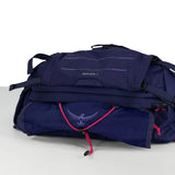 Raven 4